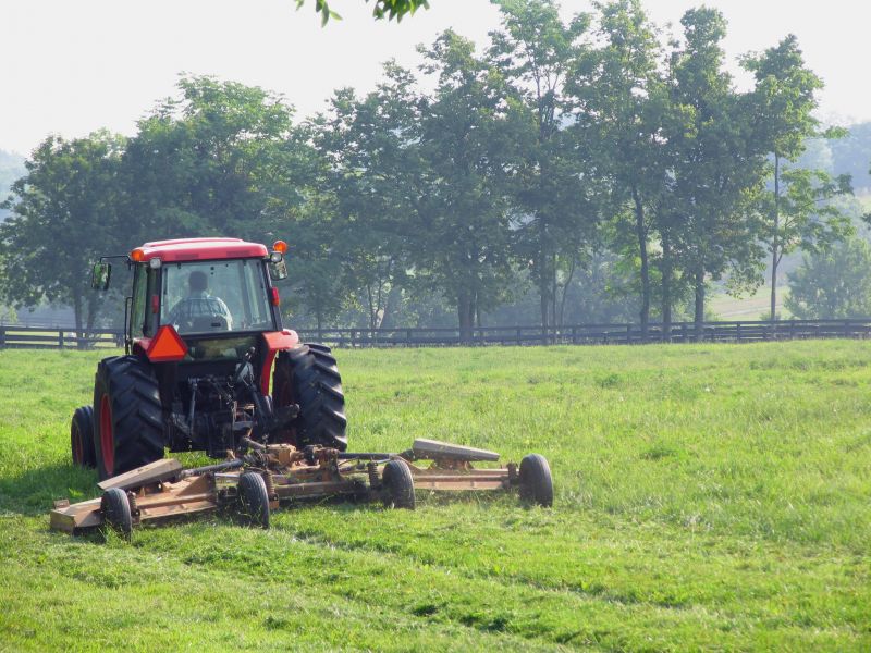 Pasture Grass Mowing