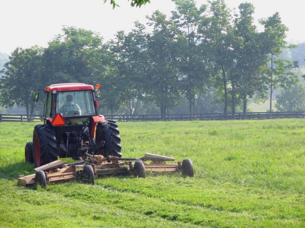 Pasture Mowing in Aiken