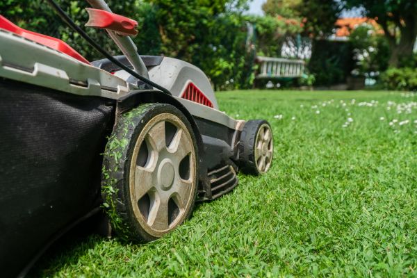 Rough Mowing in Aiken