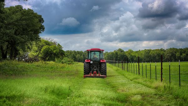 Pasture Brush Hogging