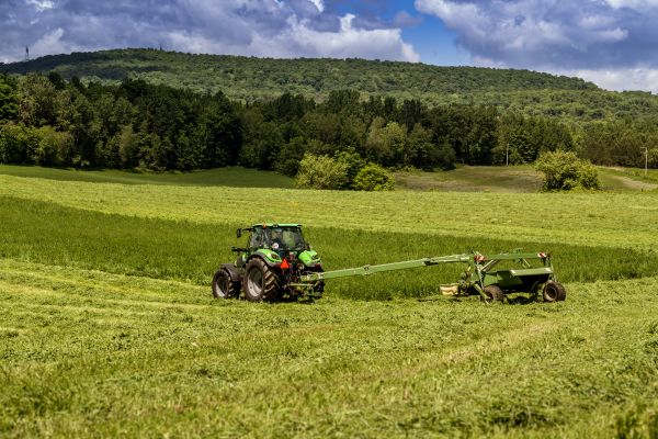 Field Brush Hogging Service