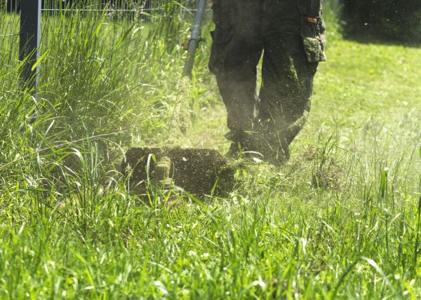 Brush Mowing Service in Aiken