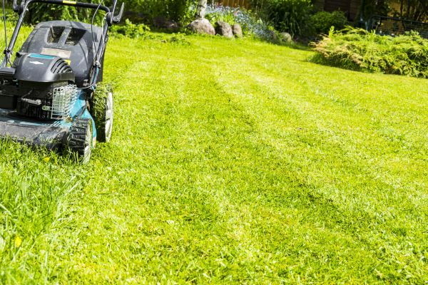Unused Property Mowing