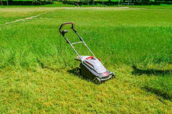 Vacant Field Mowing