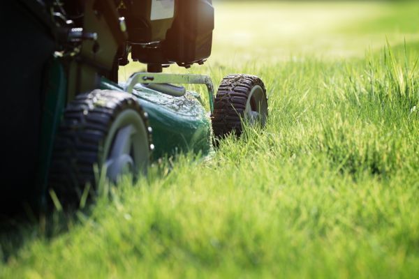 Empty Plot Mowing